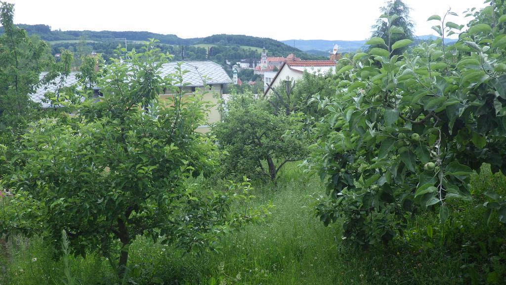 Ubytovani U Dolanskych Český Krumlov Exteriör bild