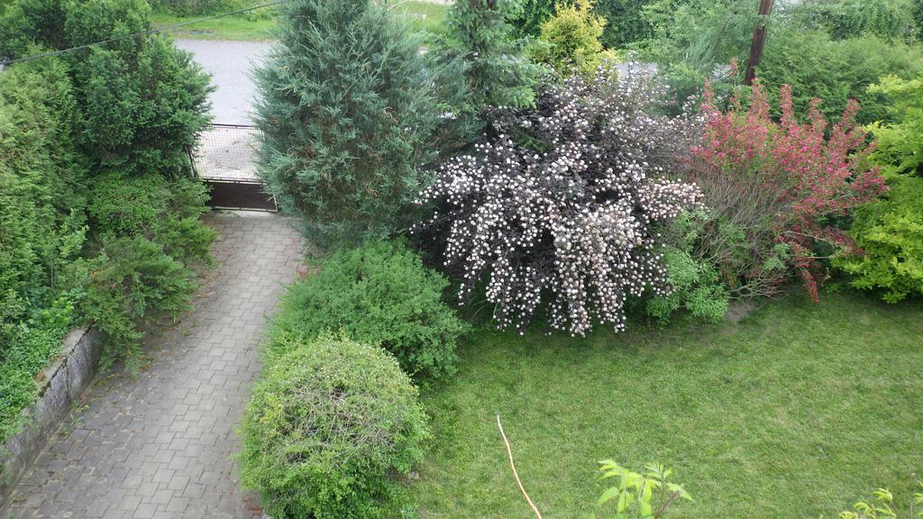 Ubytovani U Dolanskych Český Krumlov Exteriör bild